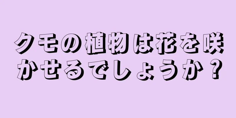 クモの植物は花を咲かせるでしょうか？