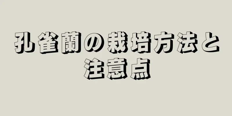 孔雀蘭の栽培方法と注意点