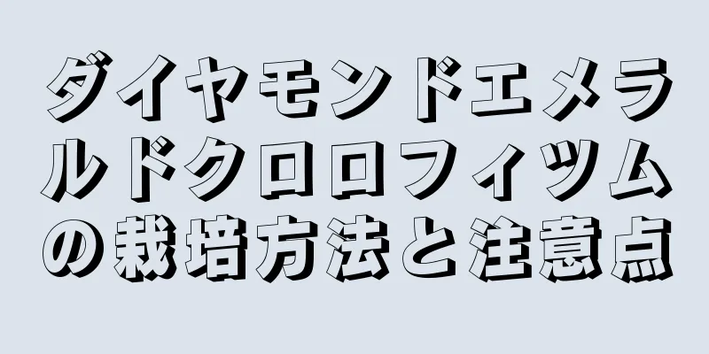 ダイヤモンドエメラルドクロロフィツムの栽培方法と注意点