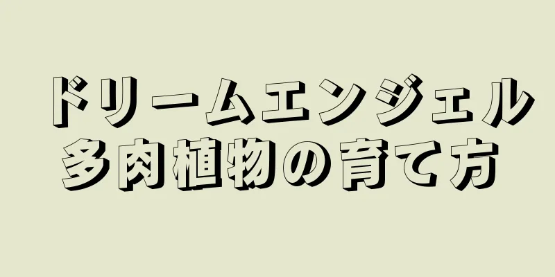 ドリームエンジェル多肉植物の育て方