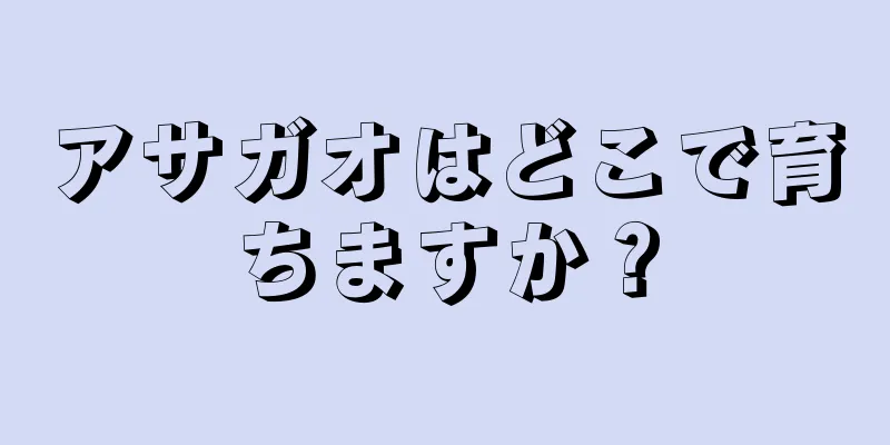 アサガオはどこで育ちますか？