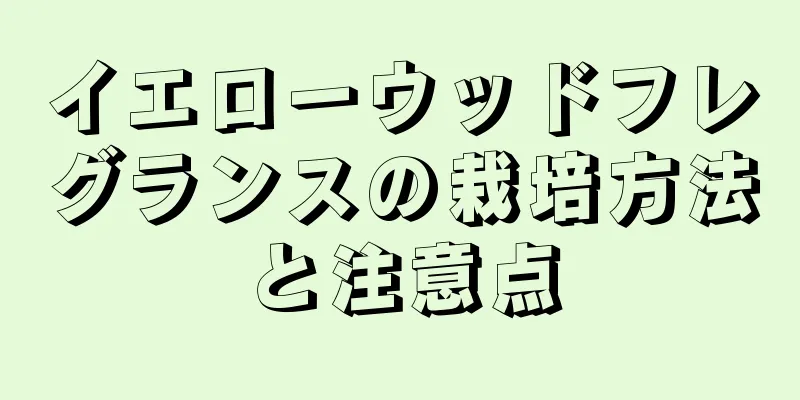 イエローウッドフレグランスの栽培方法と注意点