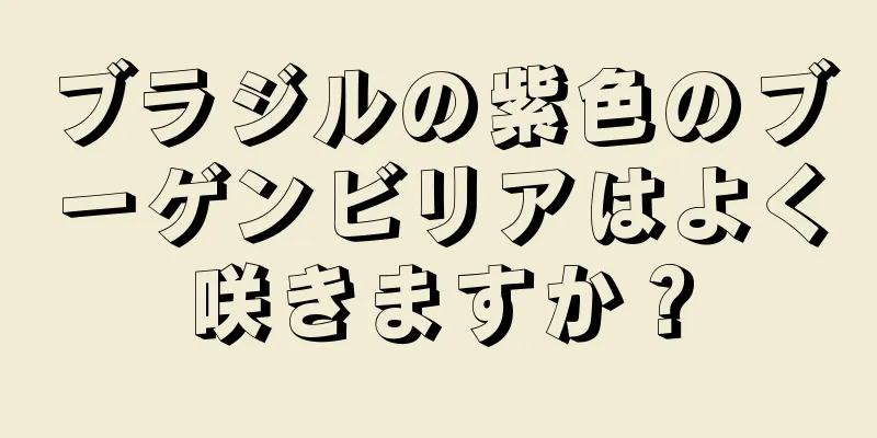 ブラジルの紫色のブーゲンビリアはよく咲きますか？