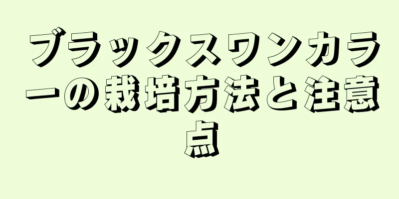 ブラックスワンカラーの栽培方法と注意点