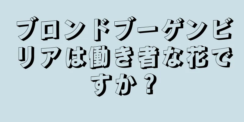 ブロンドブーゲンビリアは働き者な花ですか？