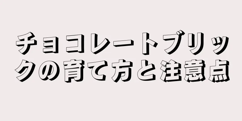 チョコレートブリックの育て方と注意点