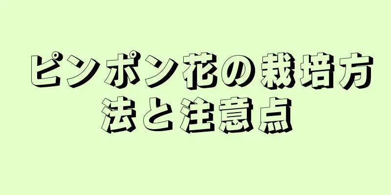 ピンポン花の栽培方法と注意点