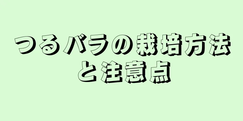 つるバラの栽培方法と注意点