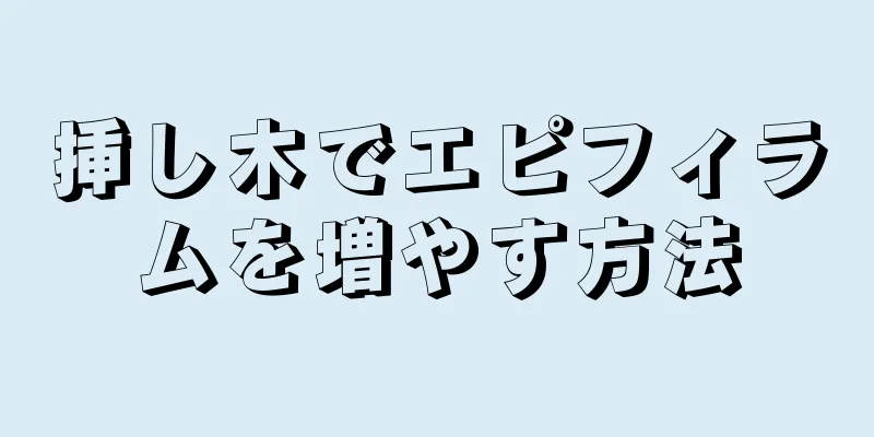 挿し木でエピフィラムを増やす方法