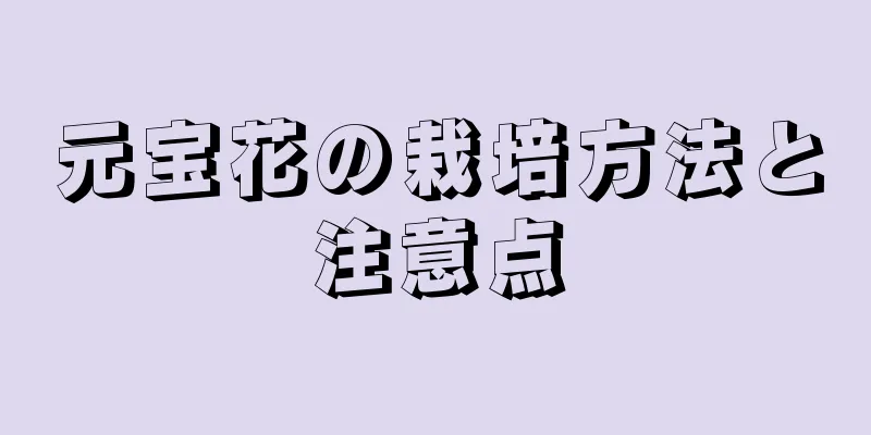 元宝花の栽培方法と注意点