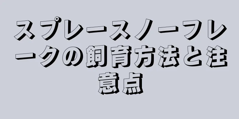 スプレースノーフレークの飼育方法と注意点