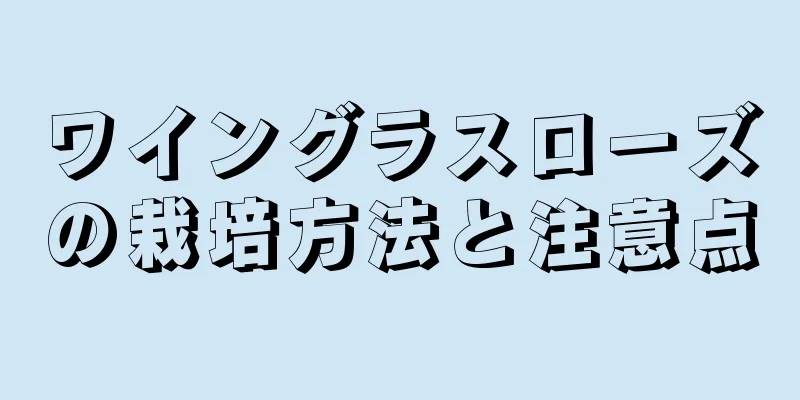 ワイングラスローズの栽培方法と注意点