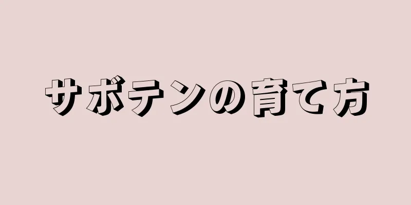 サボテンの育て方