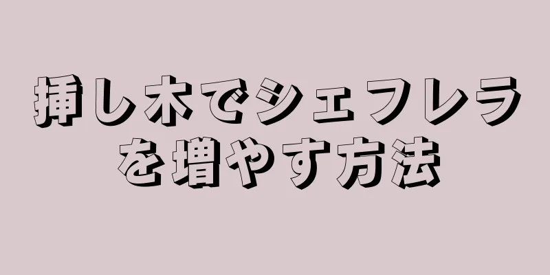 挿し木でシェフレラを増やす方法