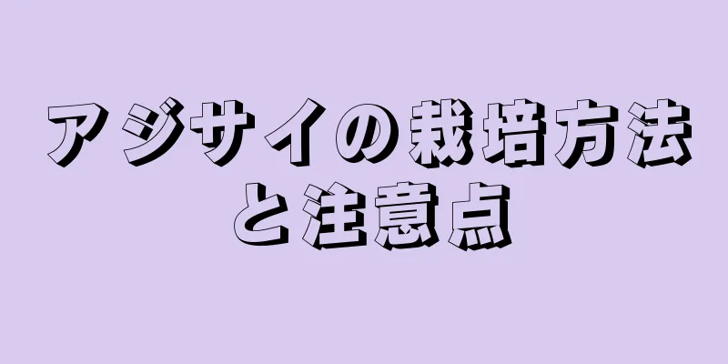 アジサイの栽培方法と注意点
