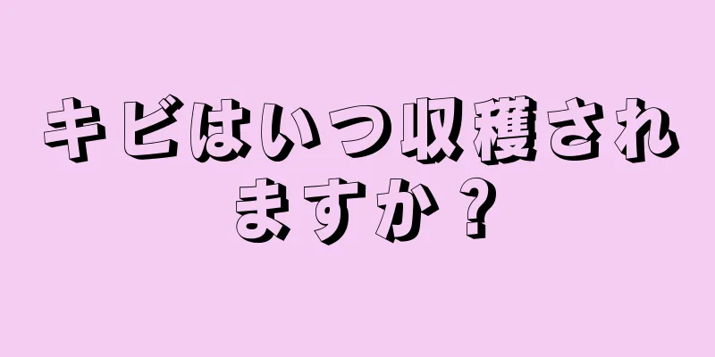キビはいつ収穫されますか？
