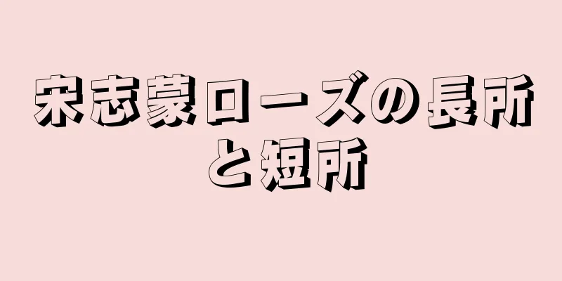 宋志蒙ローズの長所と短所