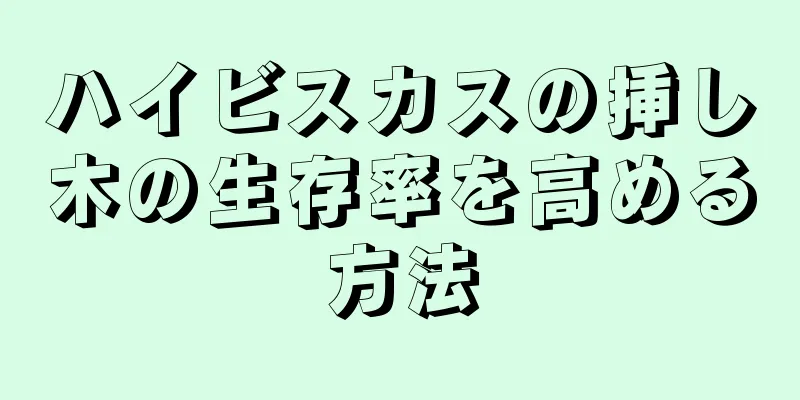 ハイビスカスの挿し木の生存率を高める方法