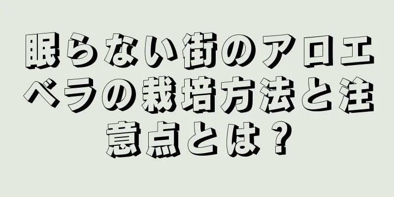 眠らない街のアロエベラの栽培方法と注意点とは？