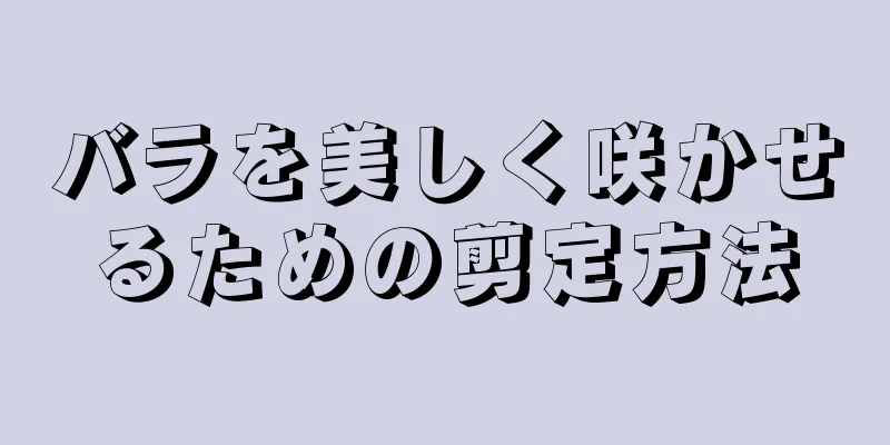 バラを美しく咲かせるための剪定方法