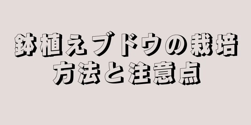 鉢植えブドウの栽培方法と注意点