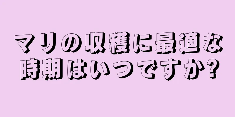 マリの収穫に最適な時期はいつですか?
