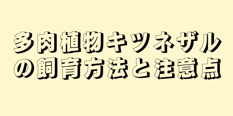 多肉植物キツネザルの飼育方法と注意点
