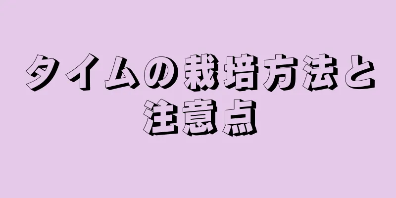 タイムの栽培方法と注意点