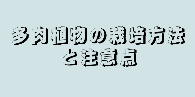 多肉植物の栽培方法と注意点