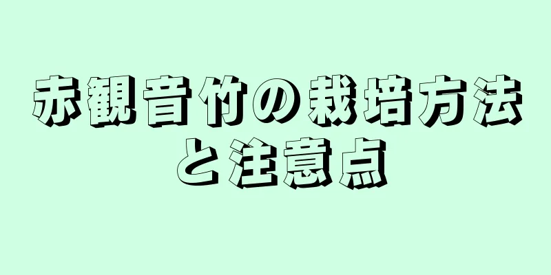 赤観音竹の栽培方法と注意点