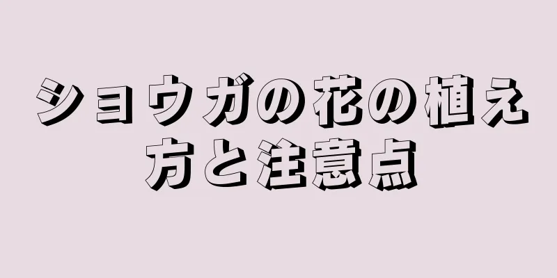 ショウガの花の植え方と注意点