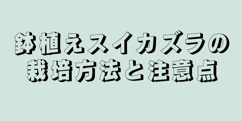 鉢植えスイカズラの栽培方法と注意点