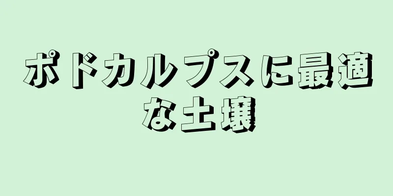 ポドカルプスに最適な土壌