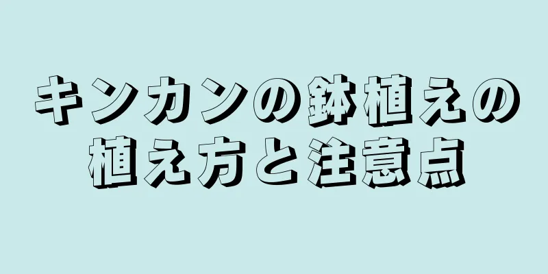 キンカンの鉢植えの植え方と注意点