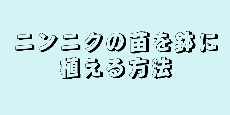ニンニクの苗を鉢に植える方法