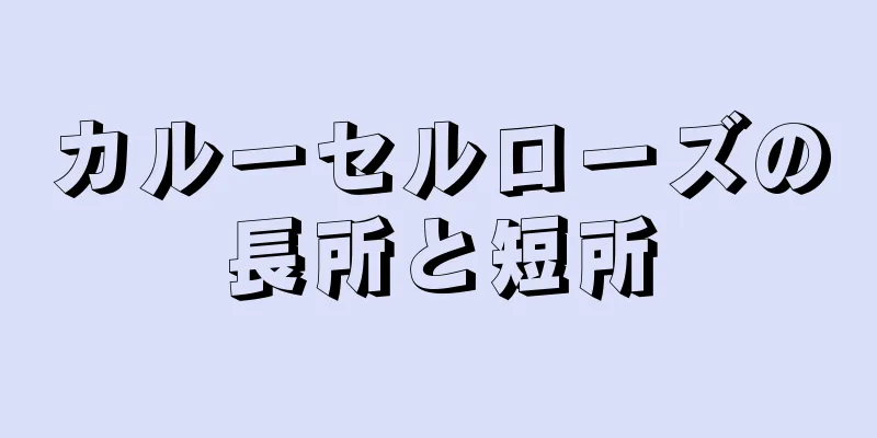 カルーセルローズの長所と短所