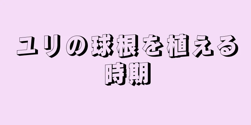 ユリの球根を植える時期