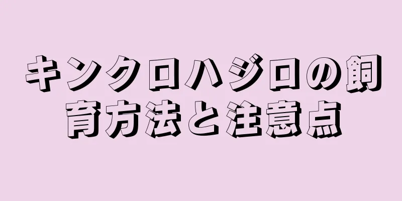 キンクロハジロの飼育方法と注意点