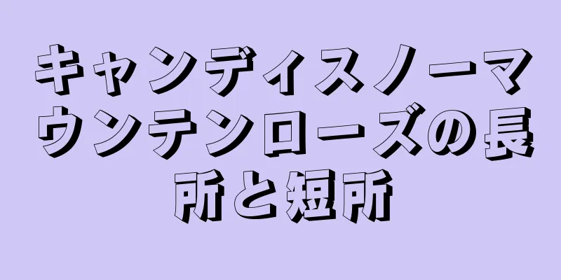 キャンディスノーマウンテンローズの長所と短所