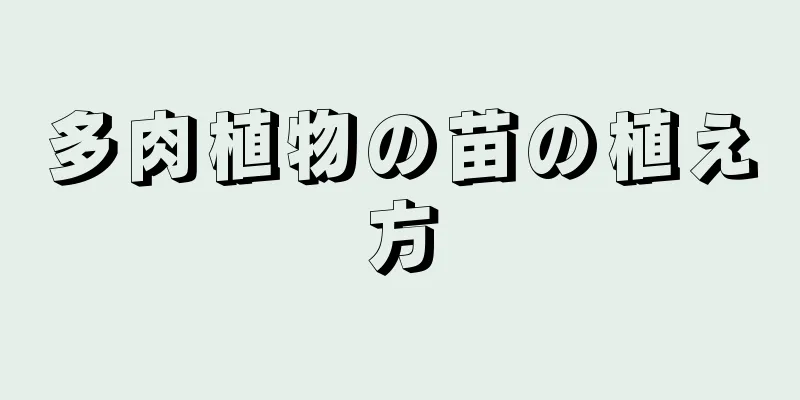 多肉植物の苗の植え方