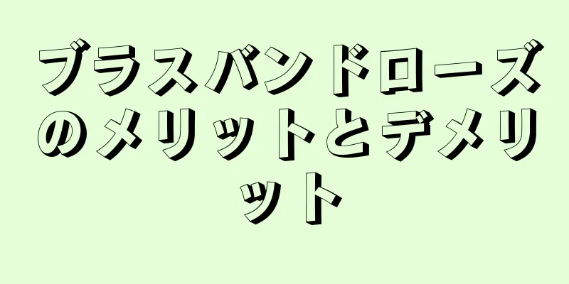ブラスバンドローズのメリットとデメリット