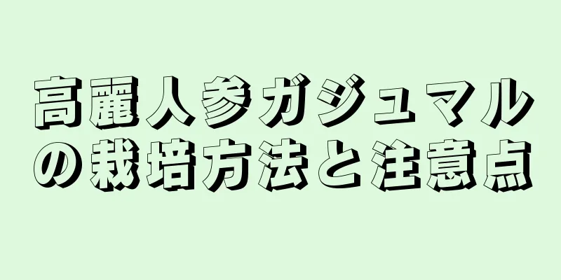高麗人参ガジュマルの栽培方法と注意点