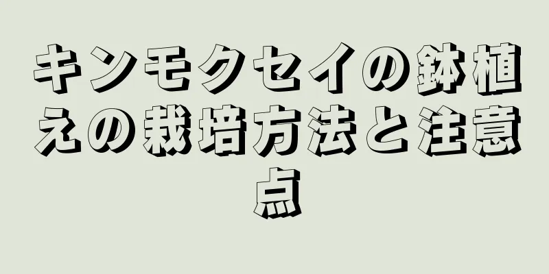 キンモクセイの鉢植えの栽培方法と注意点