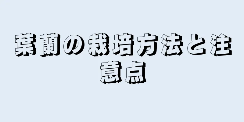 葉蘭の栽培方法と注意点
