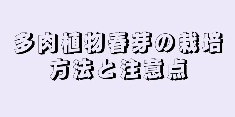 多肉植物春芽の栽培方法と注意点