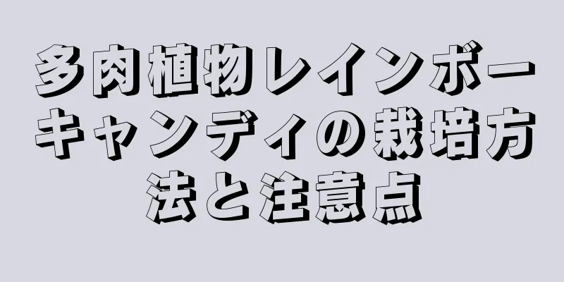 多肉植物レインボーキャンディの栽培方法と注意点