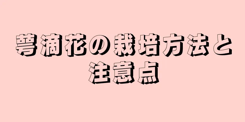萼滴花の栽培方法と注意点