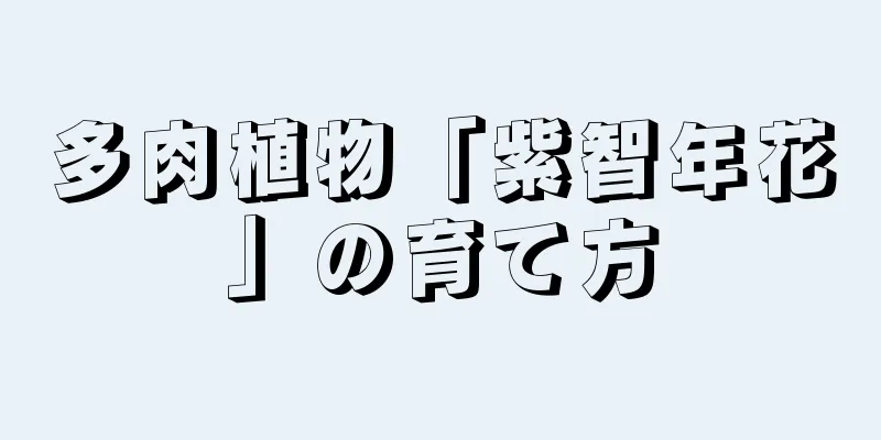 多肉植物「紫智年花」の育て方