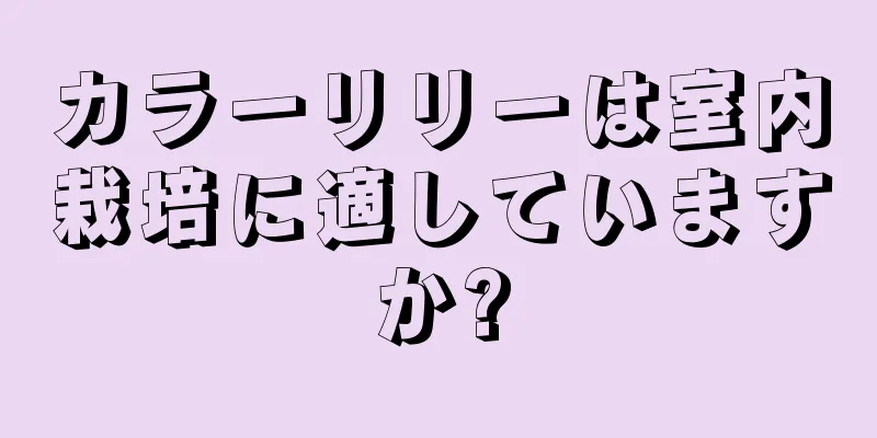 カラーリリーは室内栽培に適していますか?