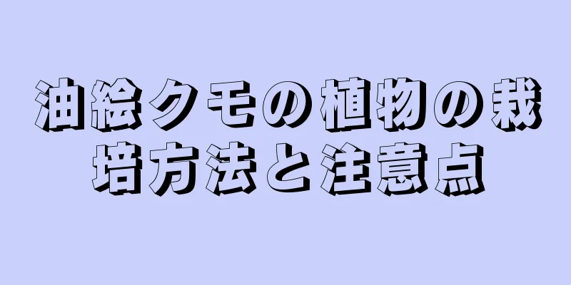 油絵クモの植物の栽培方法と注意点